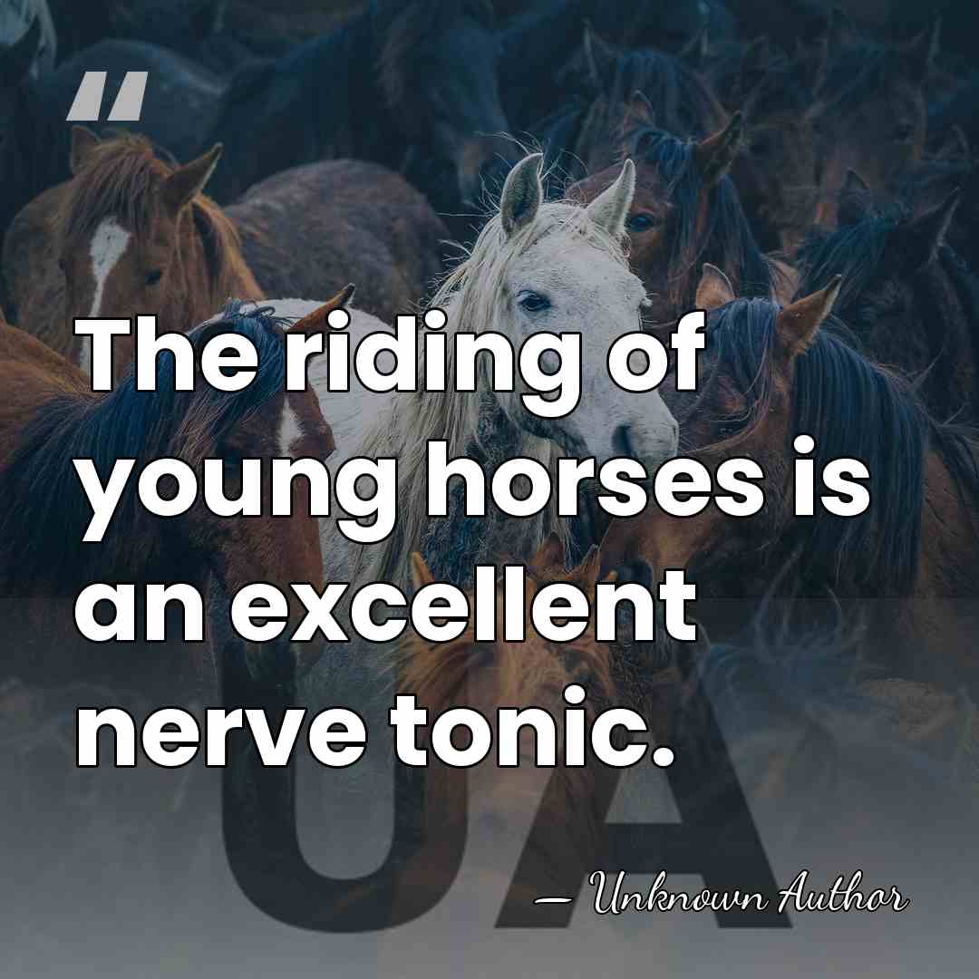 The riding of young horses is an excellent nerve tonic. - Unknown Author