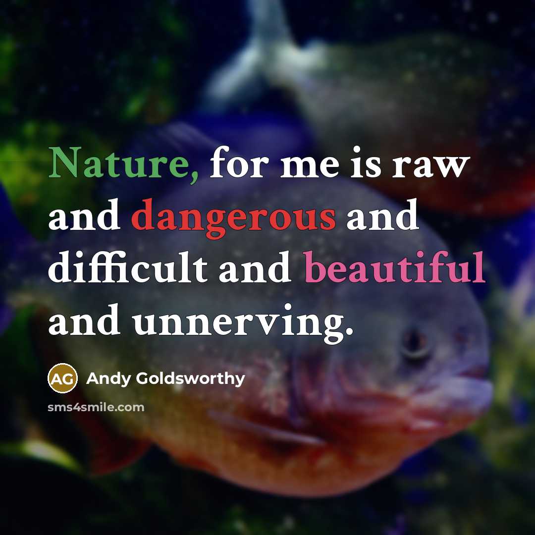 “Nature, for me is raw and dangerous and difficult and…” quote by Andy Goldsworthy
