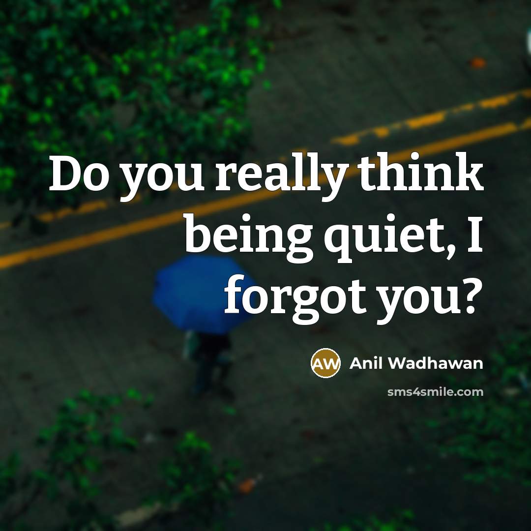 “Do you really think being quiet, I forgot you?…” quote by Anil Wadhawan