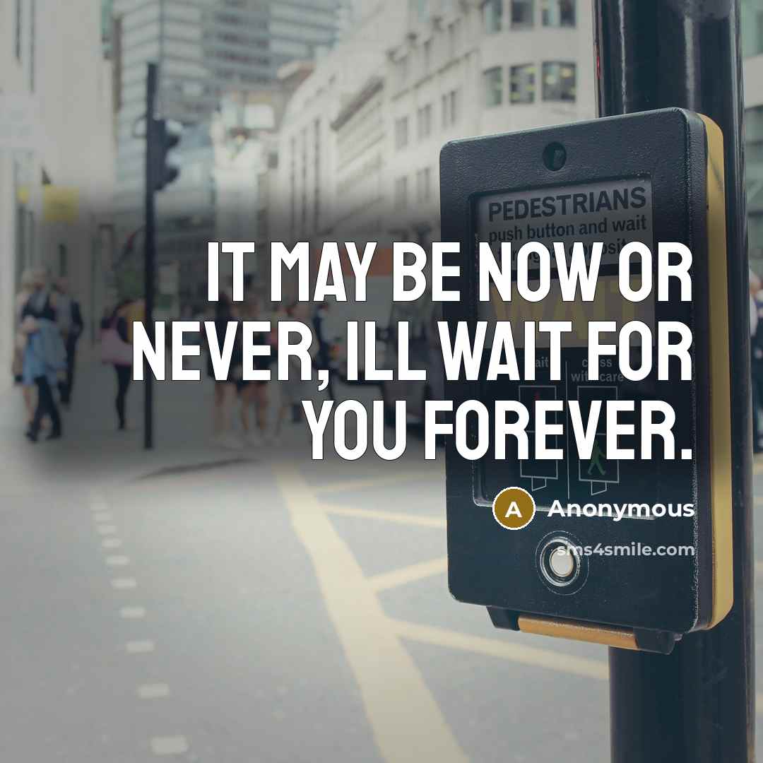“It may be now or never, ill wait for you forever.” quote by Anonymous