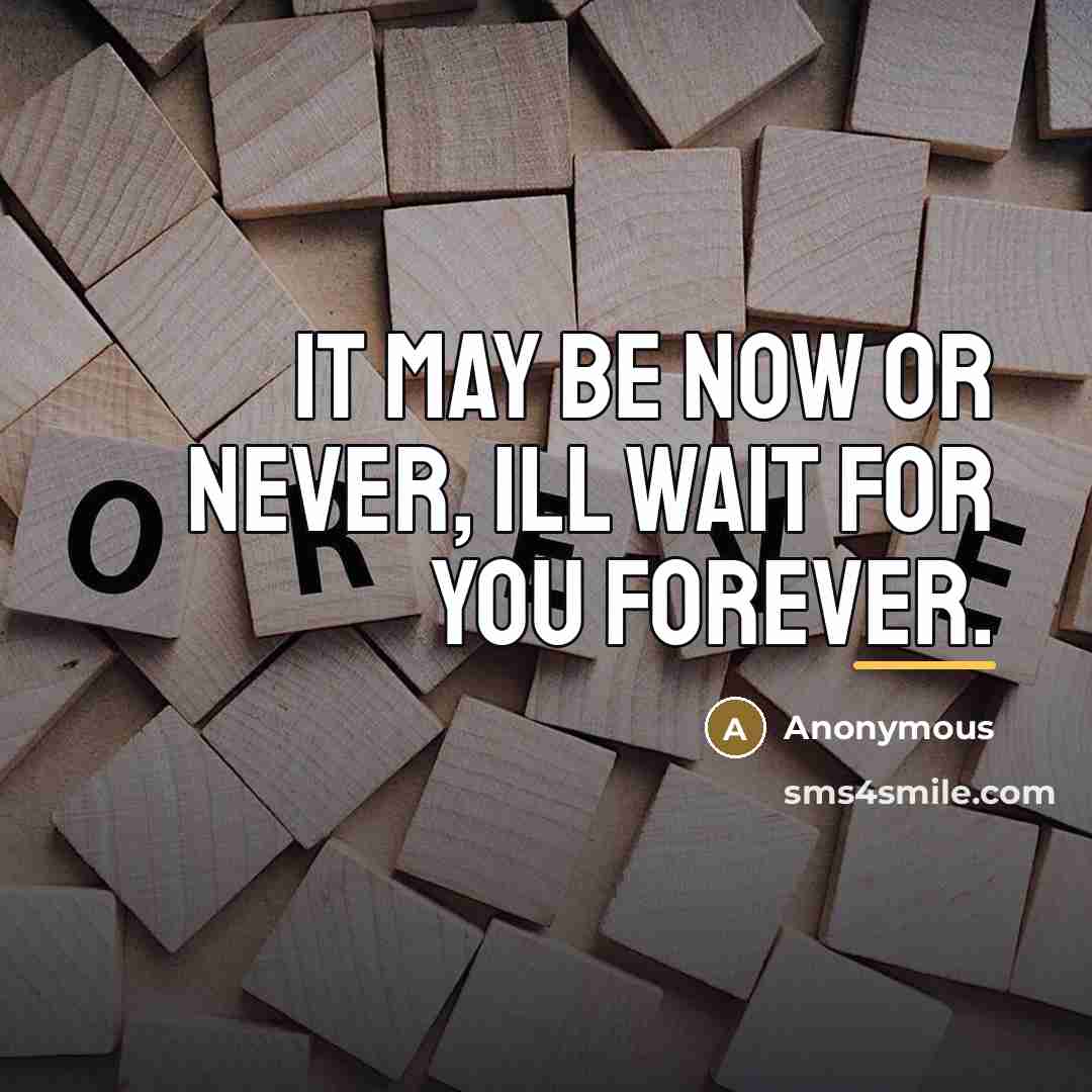 “It may be now or never, ill wait for you…” quote by Anonymous