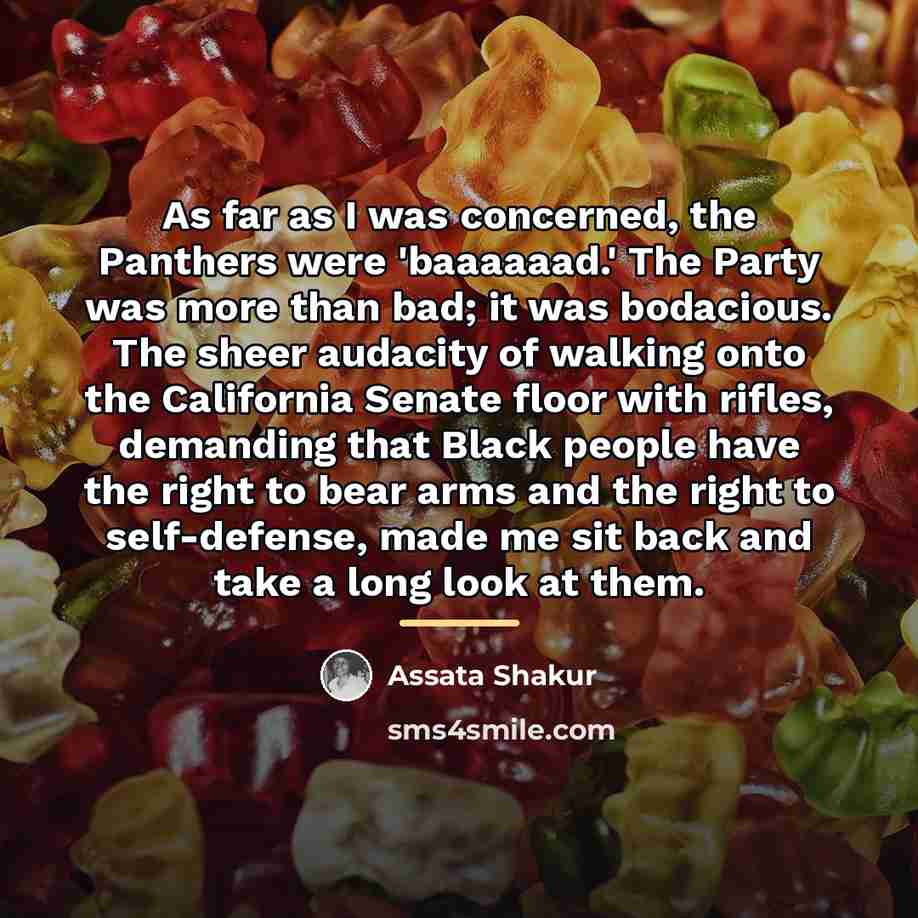 “As far as I was concerned, the Panthers were 'baaaaaad.'…” quote by Assata Shakur