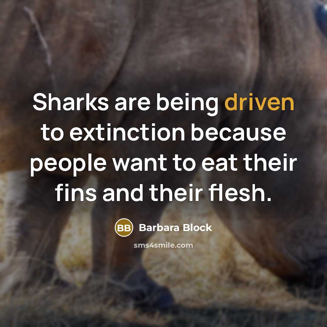“Sharks are being driven to extinction because people want to…” quote by Barbara Block