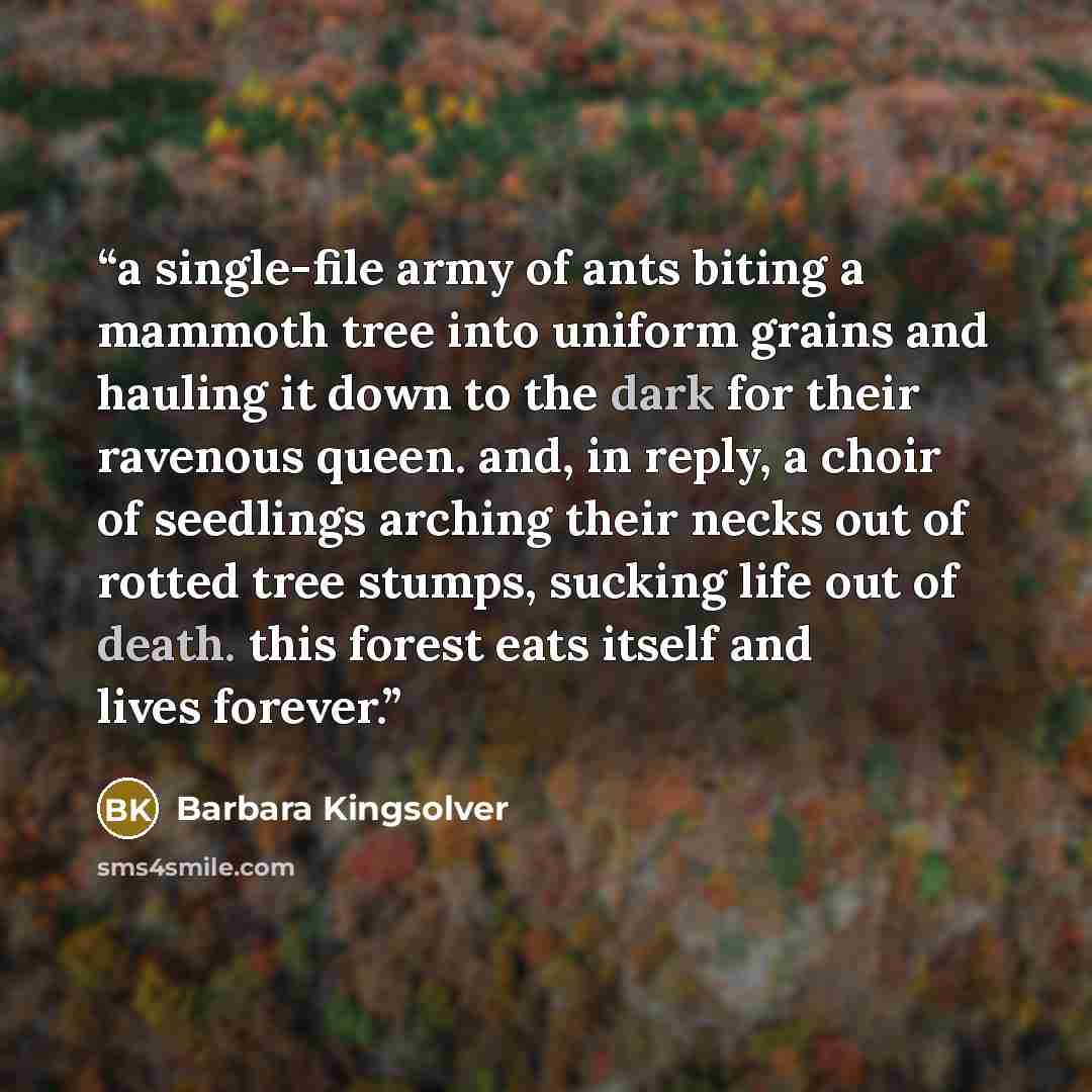 “a single-file army of ants biting a mammoth tree into uniform grains and hauling it down to the dark for their ravenous queen. and, in reply, a choir of seedlings arching their necks out of rotted tree stumps, sucking life out of death. this forest eats itself and lives forever.” quote by Barbara Kingsolver