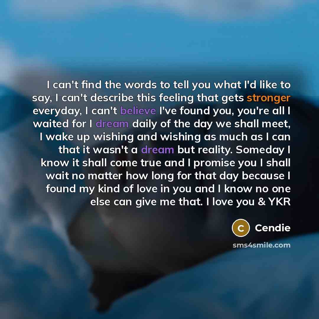 “I can't find the words to tell you what I'd…” quote by Cendie