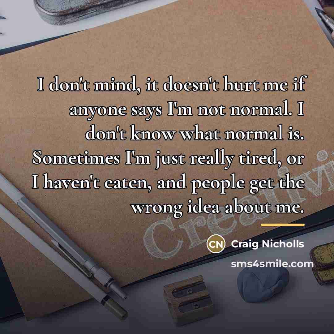 “I don't mind, it doesn't hurt me if anyone says…” quote by Craig Nicholls