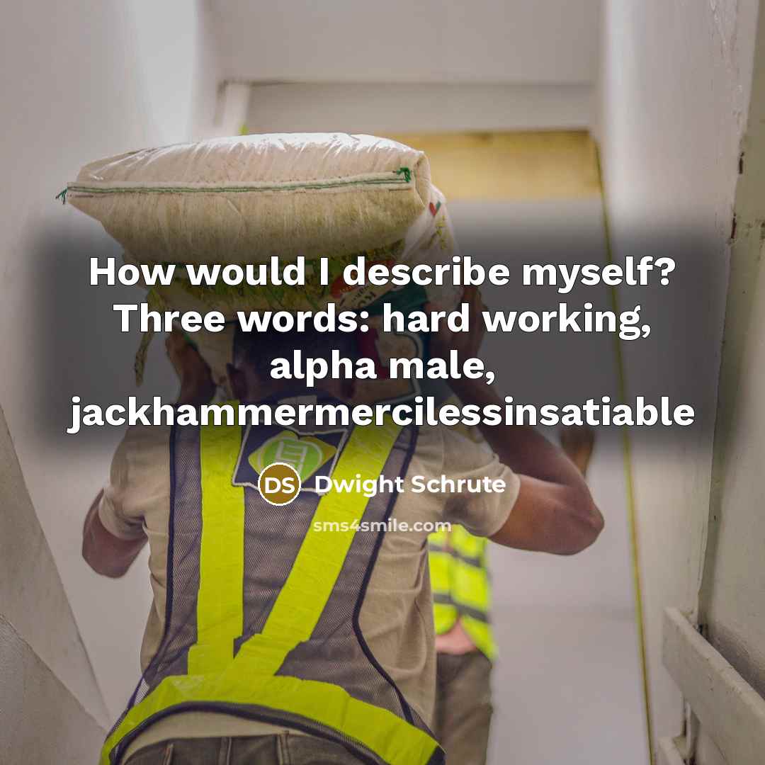 “How would I describe myself? Three words: hard working, alpha…” quote by Dwight Schrute