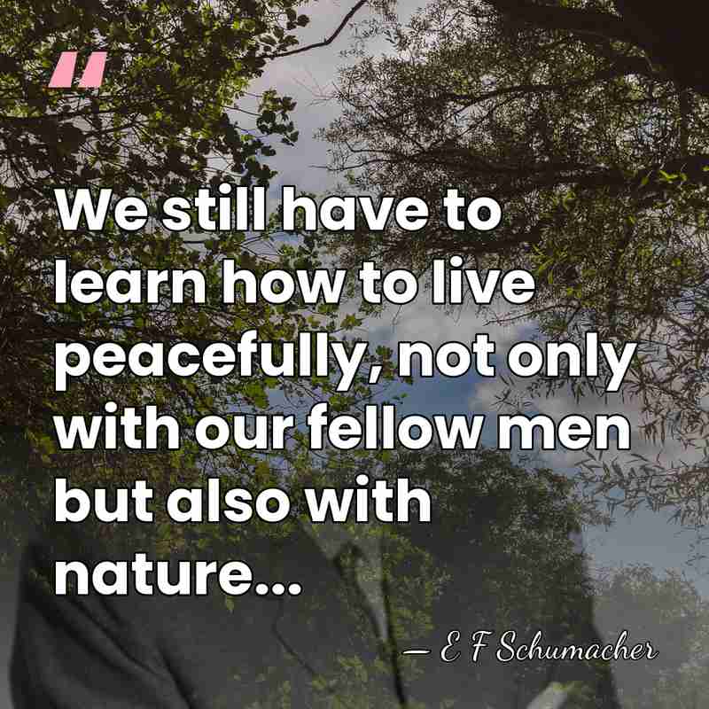 We still have to learn how to live peacefully, not only with&hellip; - E F Schumacher