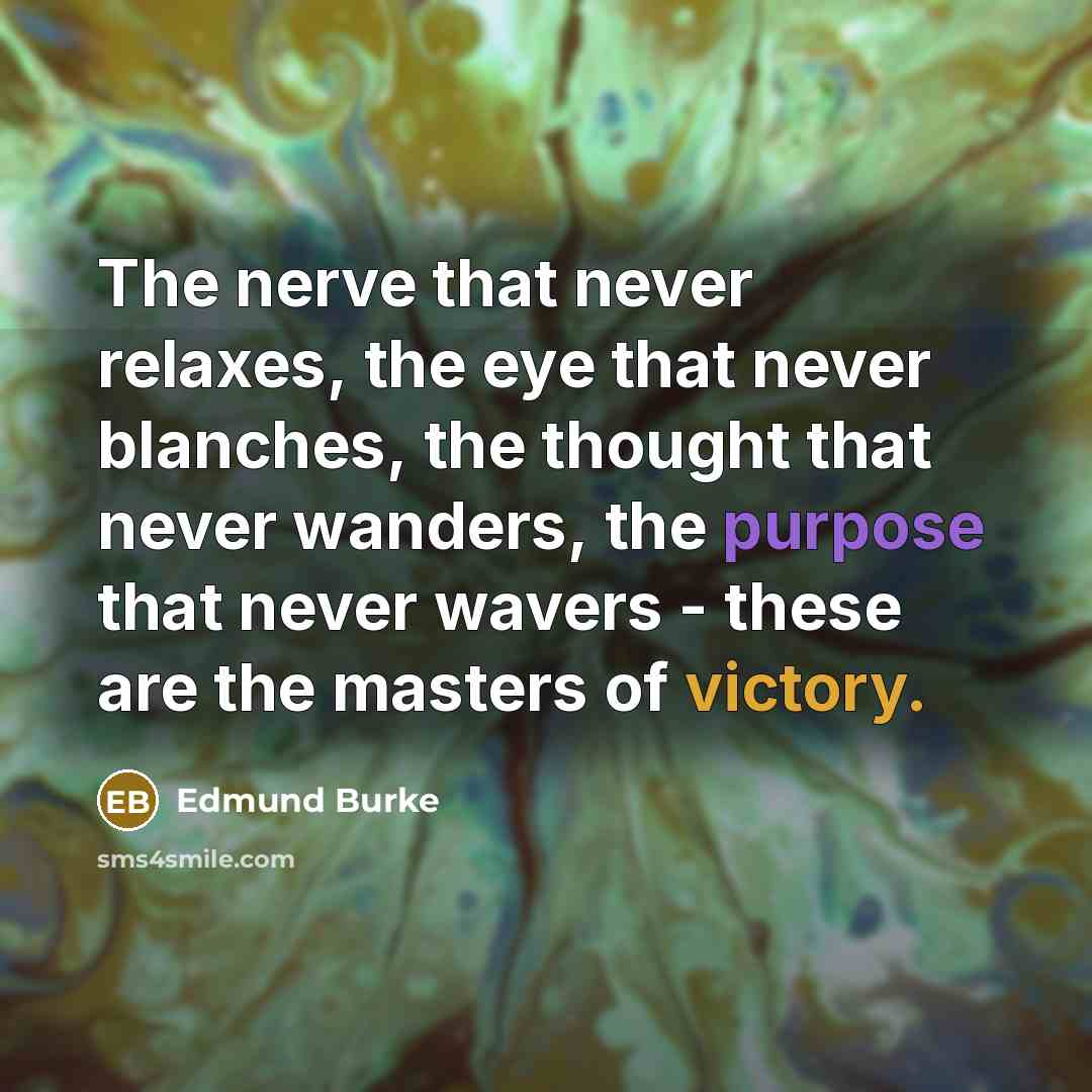 “The nerve that never relaxes, the eye that never blanches,…” quote by Edmund Burke