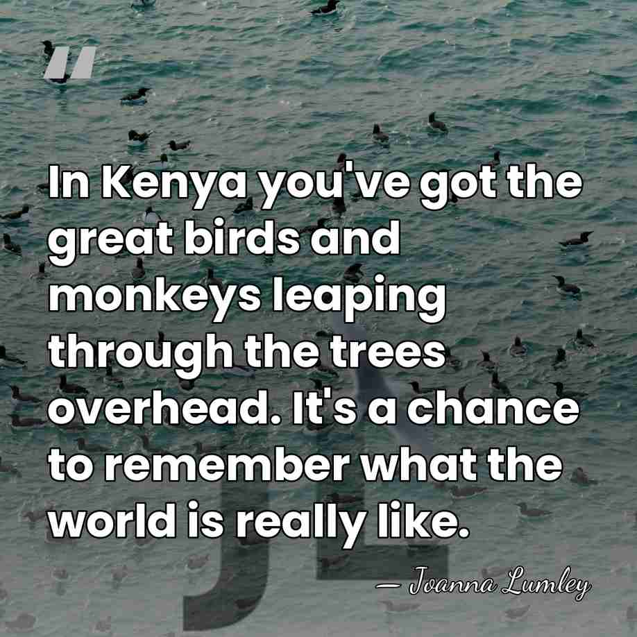 In Kenya you've got the great birds and monkeys leaping through the&hellip; - Joanna Lumley