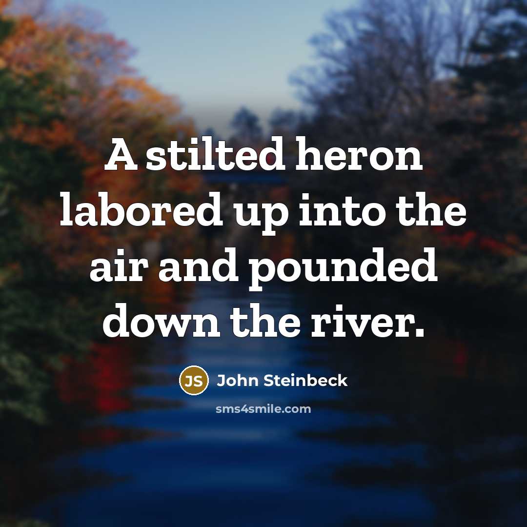 “A stilted heron labored up into the air and pounded…” quote by John Steinbeck