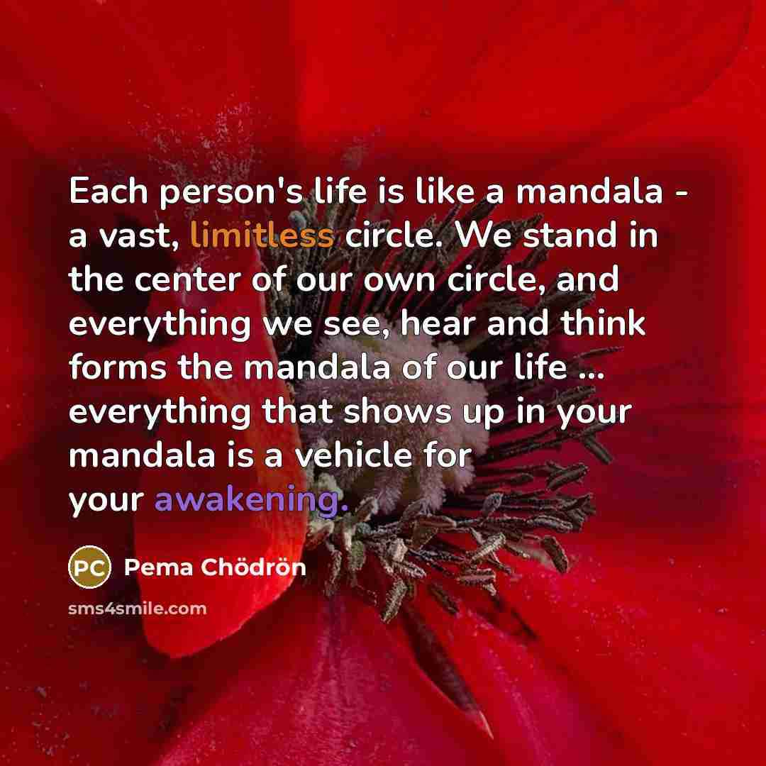 “Each person's life is like a mandala - a vast,…” quote by Pema Chodron