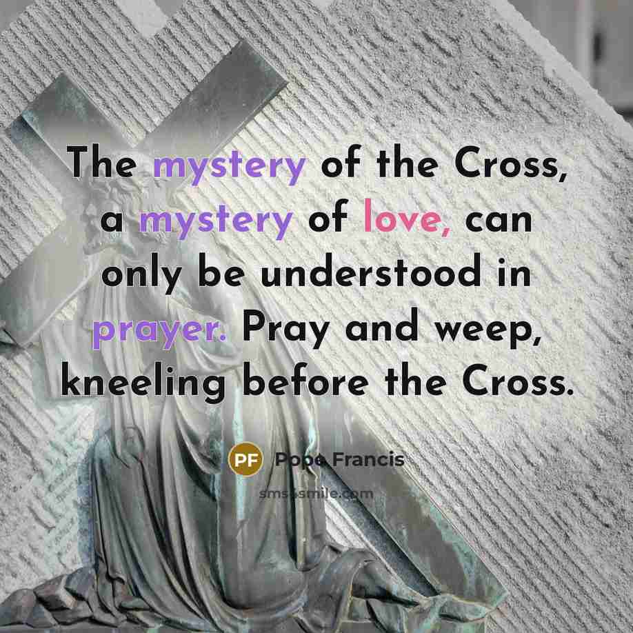“The mystery of the Cross, a mystery of love, can only be understood in prayer. Pray and weep, kneeling before the Cross.” quote by Pope Francis