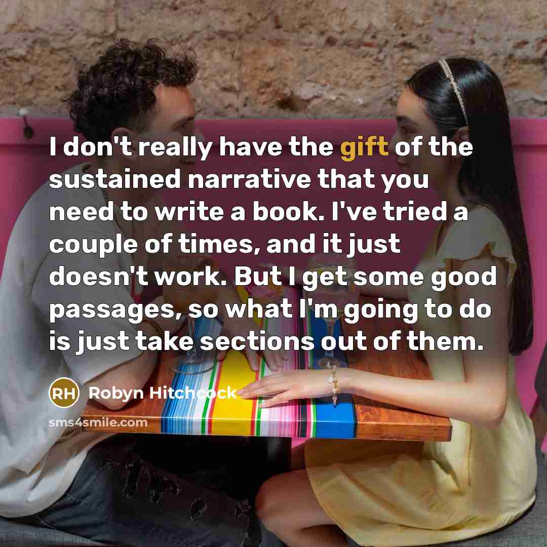 “I don't really have the gift of the sustained narrative…” quote by Robyn Hitchcock