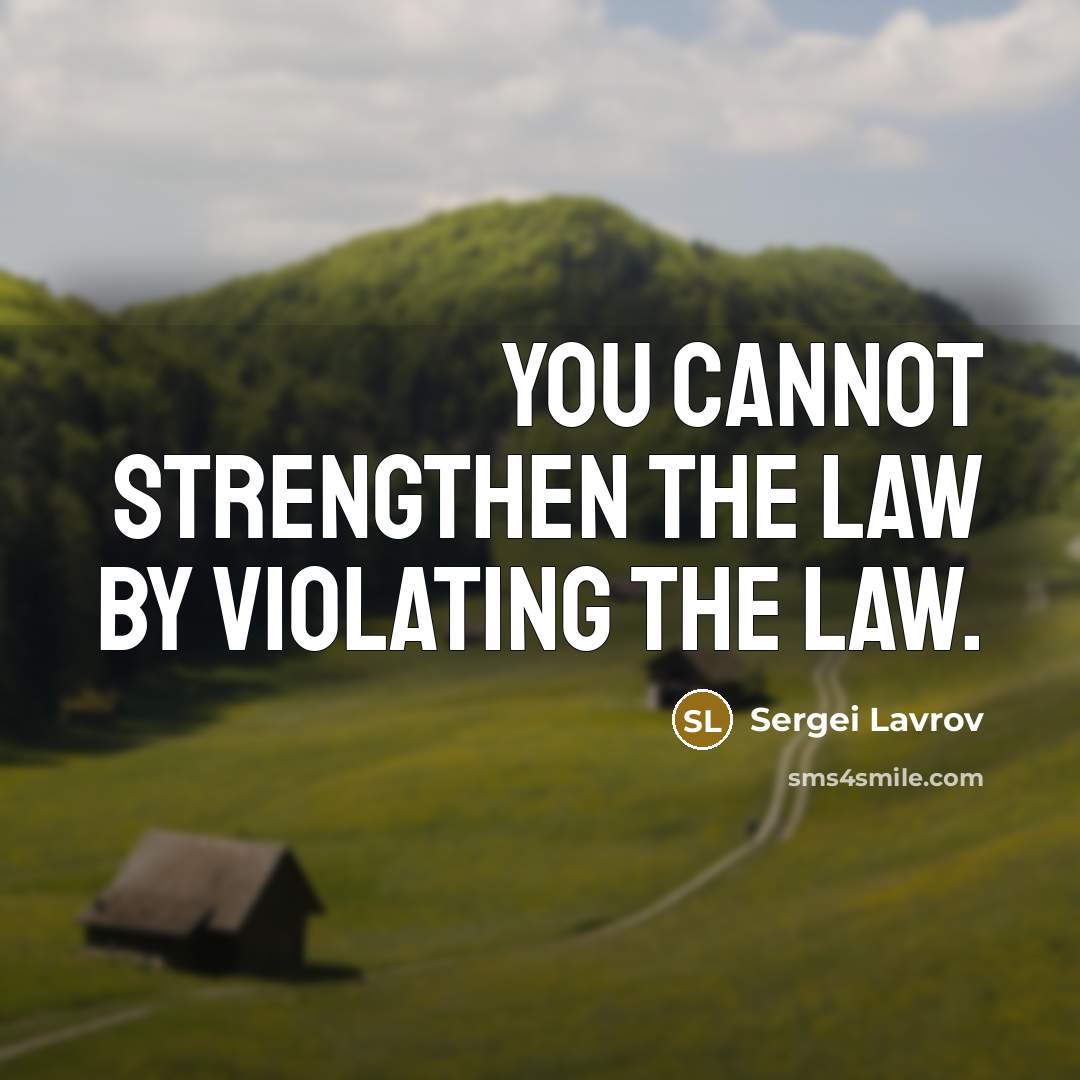 “You cannot strengthen the law by violating the law.…” quote by Sergei Lavrov