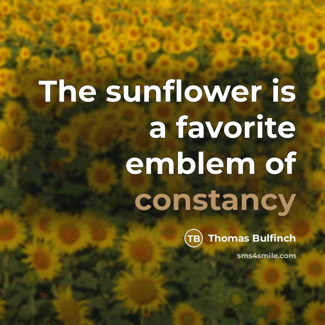 “The sunflower is a favorite emblem of constancy…” quote by Thomas Bulfinch