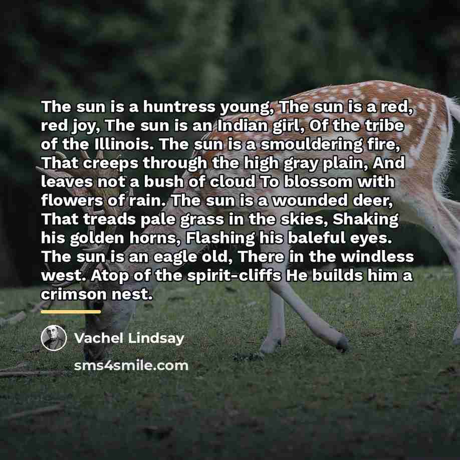 “The sun is a huntress young, The sun is a…” quote by Vachel Lindsay
