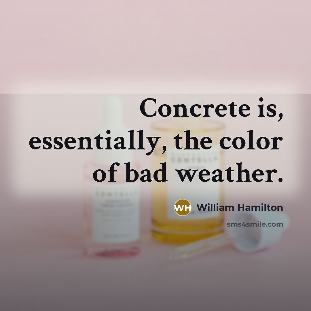 “Concrete is, essentially, the color of bad weather.…” quote by William Hamilton