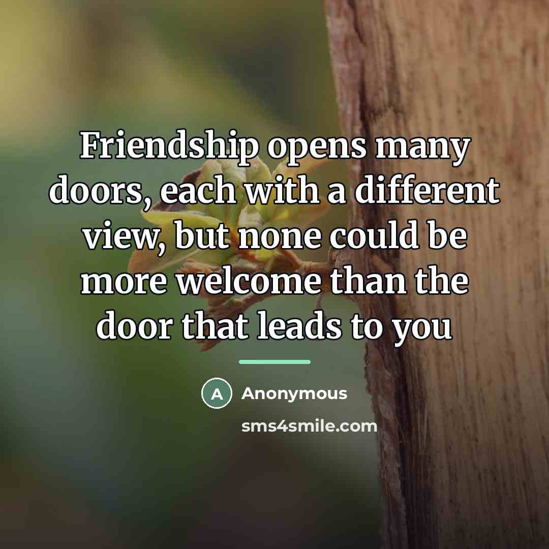“Friendship opens many doors, each with a different view, but…” quote by Anonymous