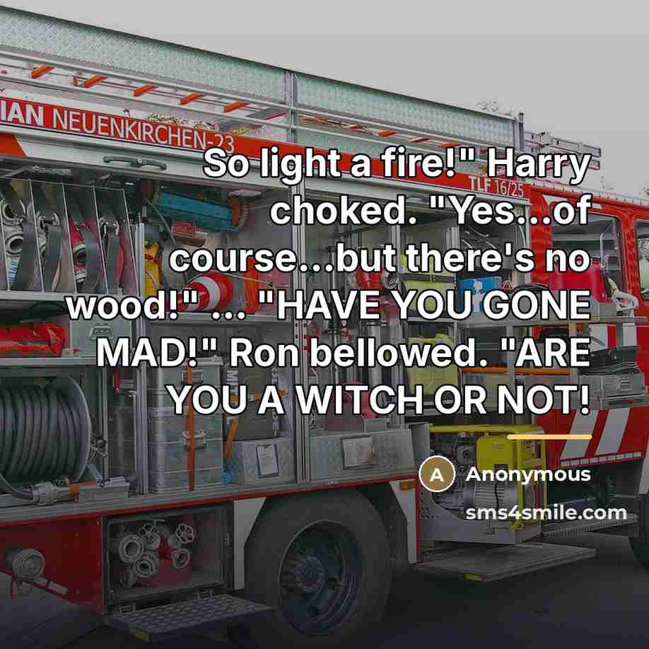 “So light a fire!" Harry choked. "Yes...of course...but there's no…” quote by Anonymous