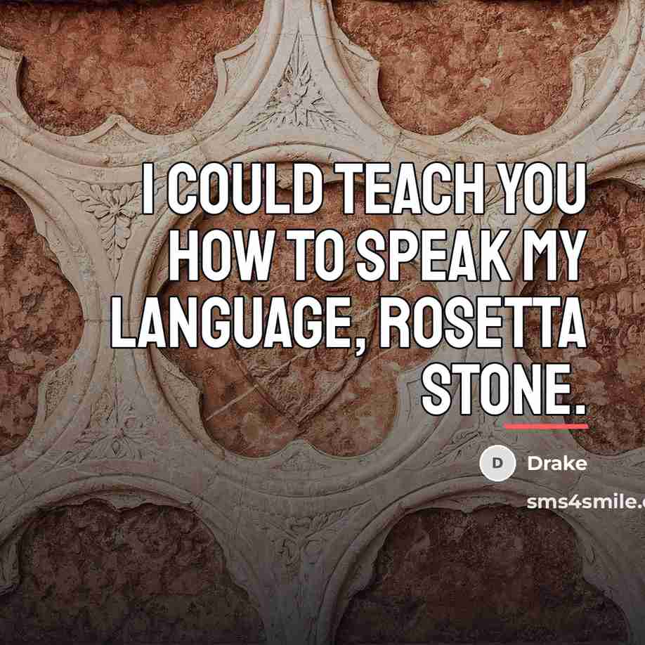 “I could teach you how to speak my language, Rosetta…” quote by Drake