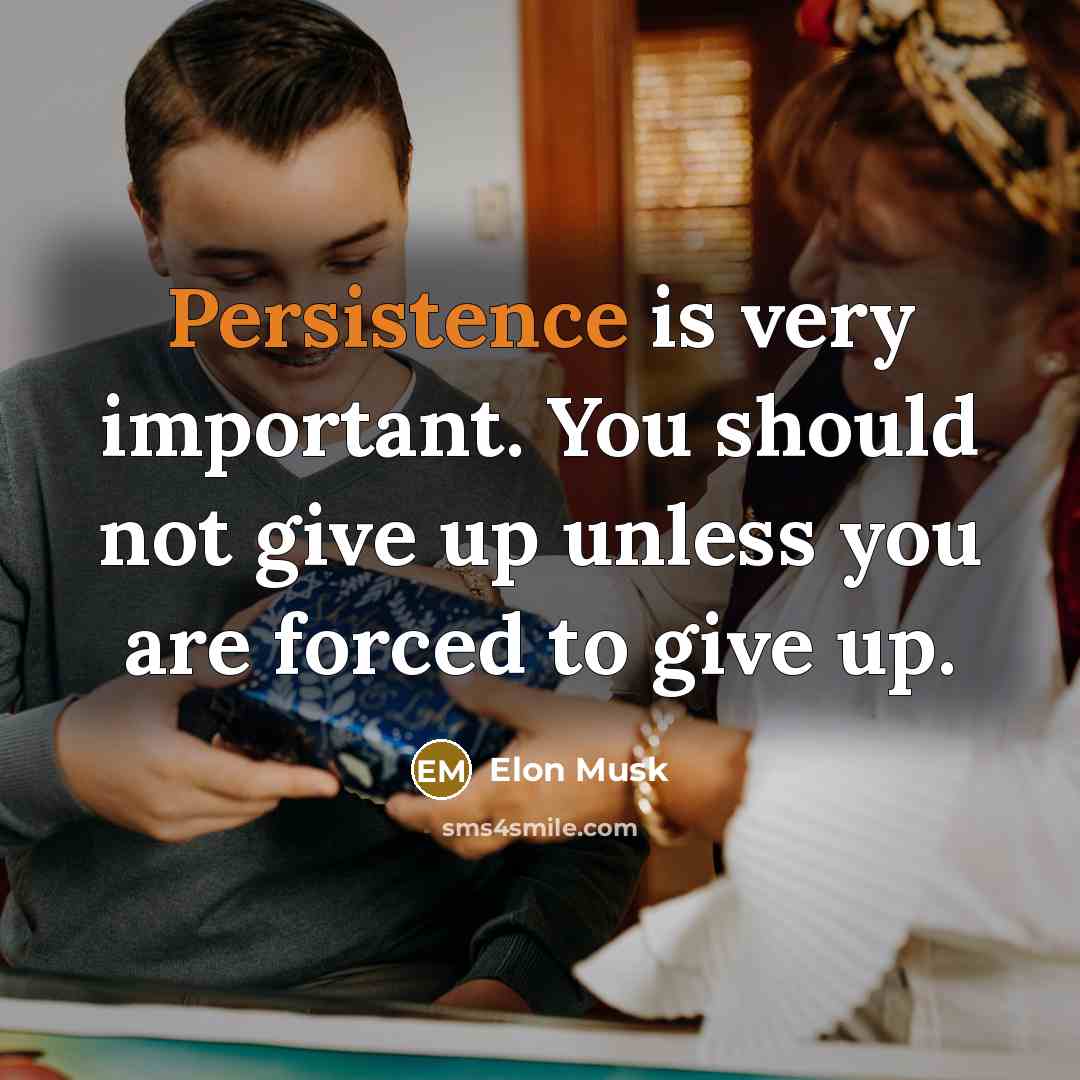 “Persistence is very important. You should not give up unless…” quote by Elon Musk