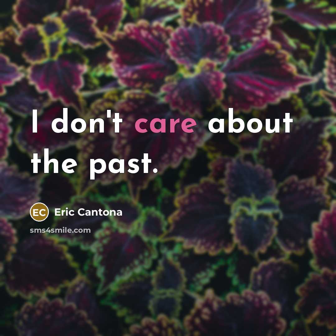 “I don't care about the past.…” quote by Eric Cantona