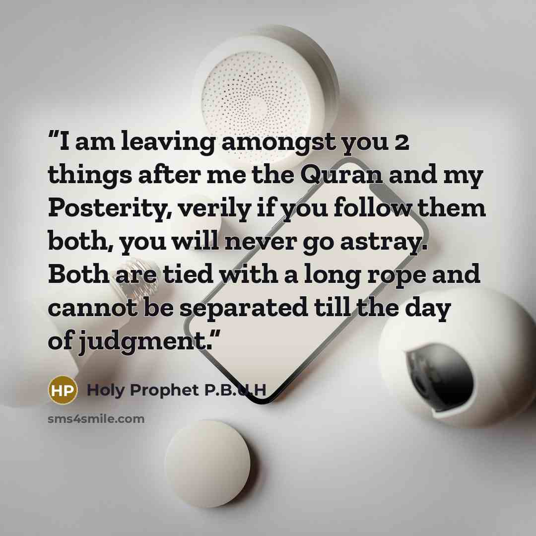 “I am leaving amongst you 2 things after me the Quran and my Posterity, verily if you follow them both, you will never go astray. Both are tied with a long rope and cannot be separated till the day of judgment.” quote by Holy Prophet P.B.U.H