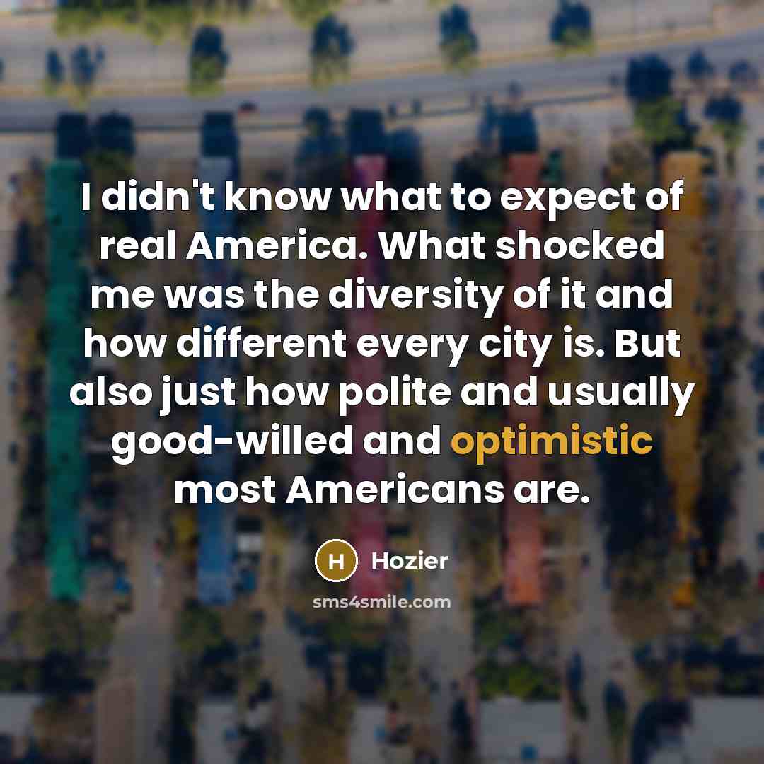 “I didn't know what to expect of real America. What…” quote by Hozier
