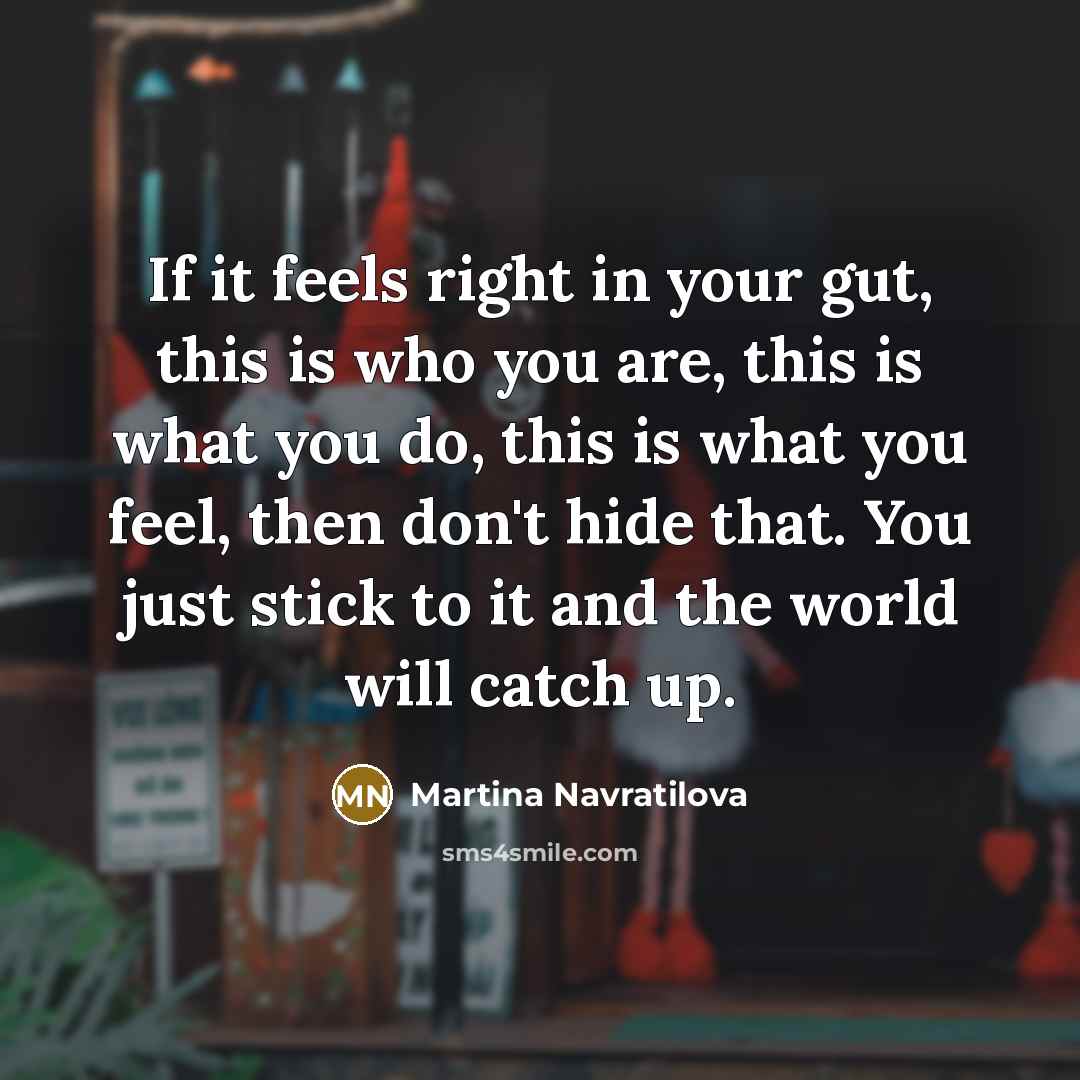 “If it feels right in your gut, this is who you are, this is what you do, this is what you feel, then don't hide that. You just stick to it and the world will catch up.” quote by Martina Navratilova