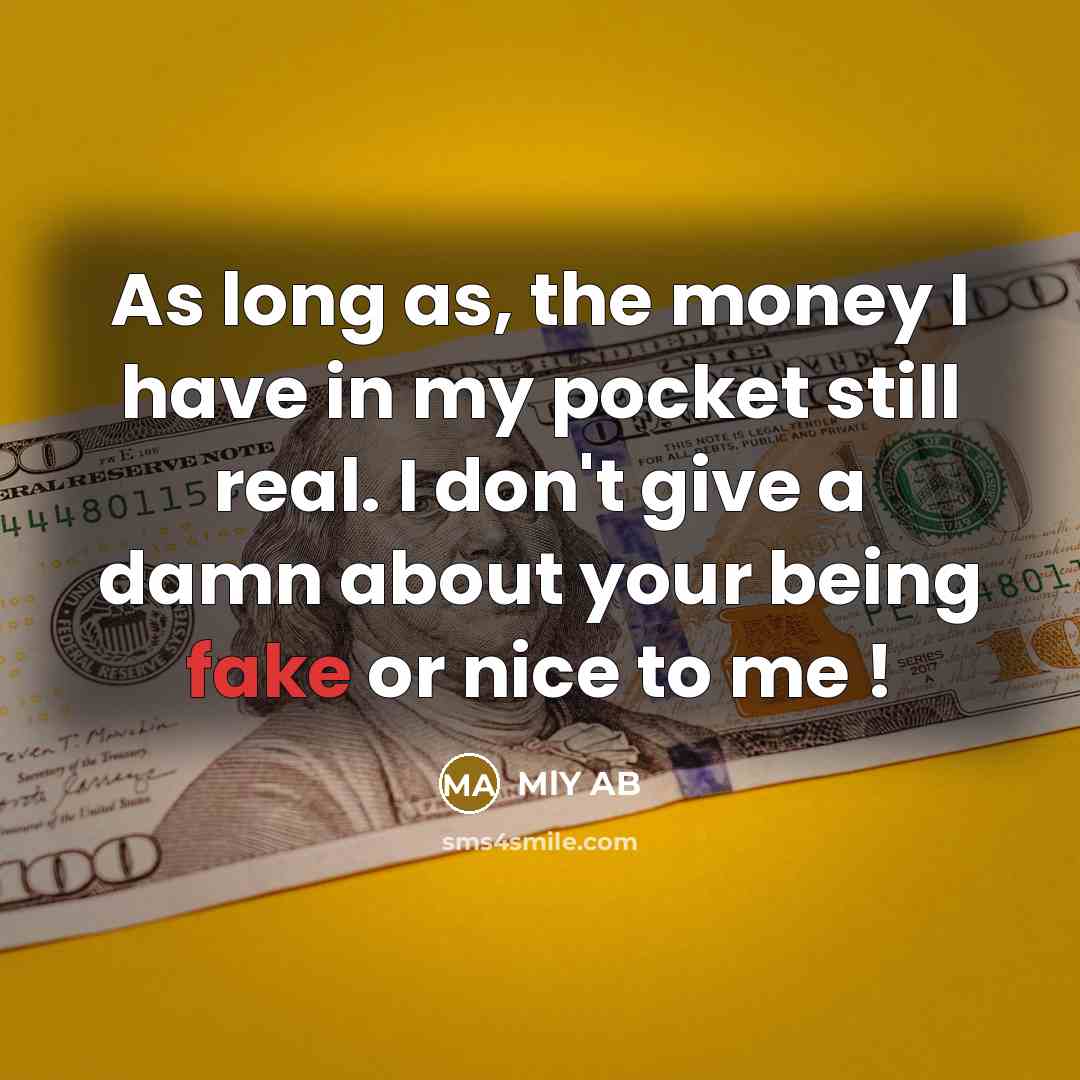 “As long as, the money I have in my pocket still real. I don't give a damn about your being fake or nice to me !” quote by MLY AB