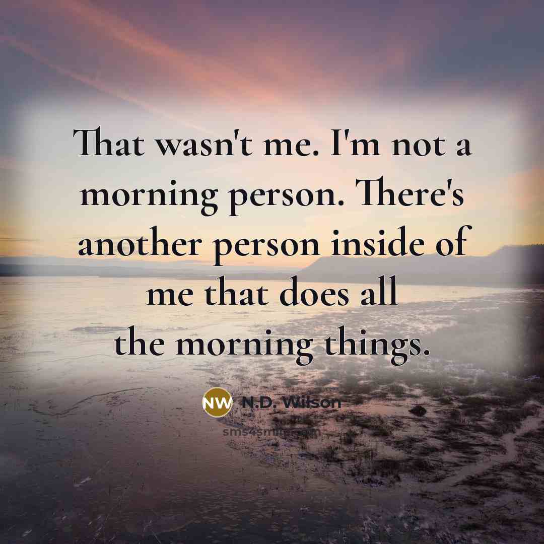 “That wasn't me. I'm not a morning person. There's another…” quote by N.D. Wilson