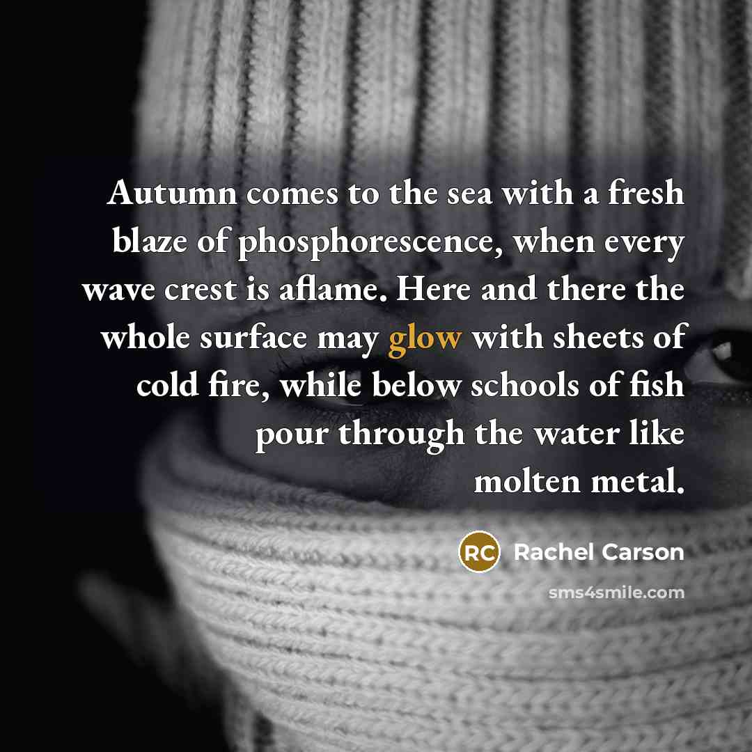 “Autumn comes to the sea with a fresh blaze of…” quote by Rachel Carson