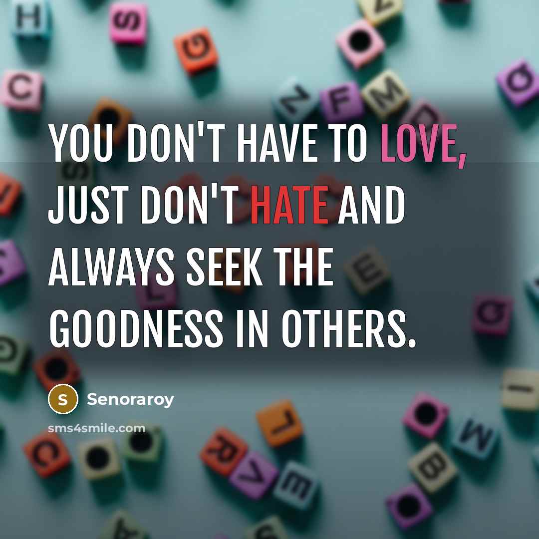 “You don't have to love, just don't hate and always seek the goodness in others.” quote by Senoraroy