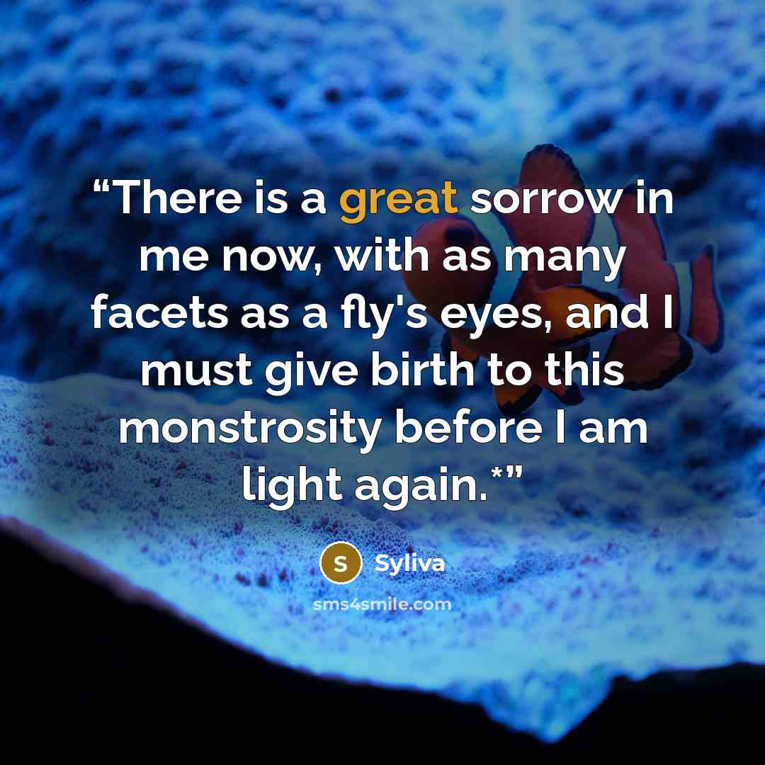 “There is a great sorrow in me now, with as many facets as a fly's eyes, and I must give birth to this monstrosity before I am light again.*” quote by Syliva