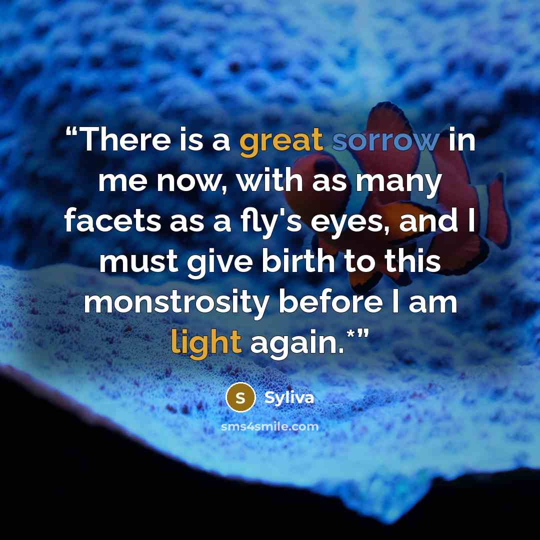 “There is a great sorrow in me now, with as many facets as a fly's eyes, and I must give birth to this monstrosity before I am light again.*” quote by Syliva