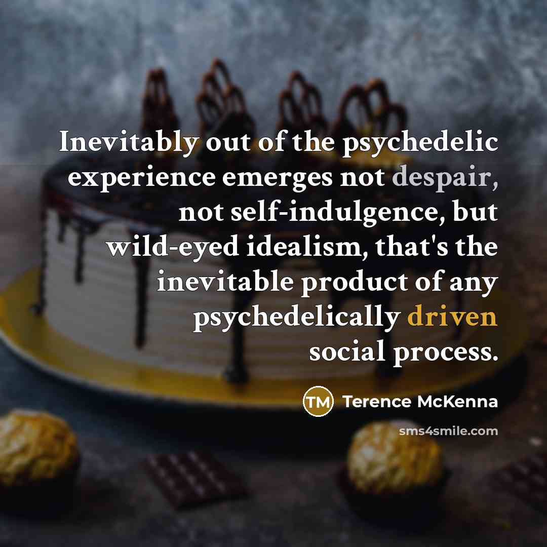 “Inevitably out of the psychedelic experience emerges not despair, not…” quote by Terence McKenna