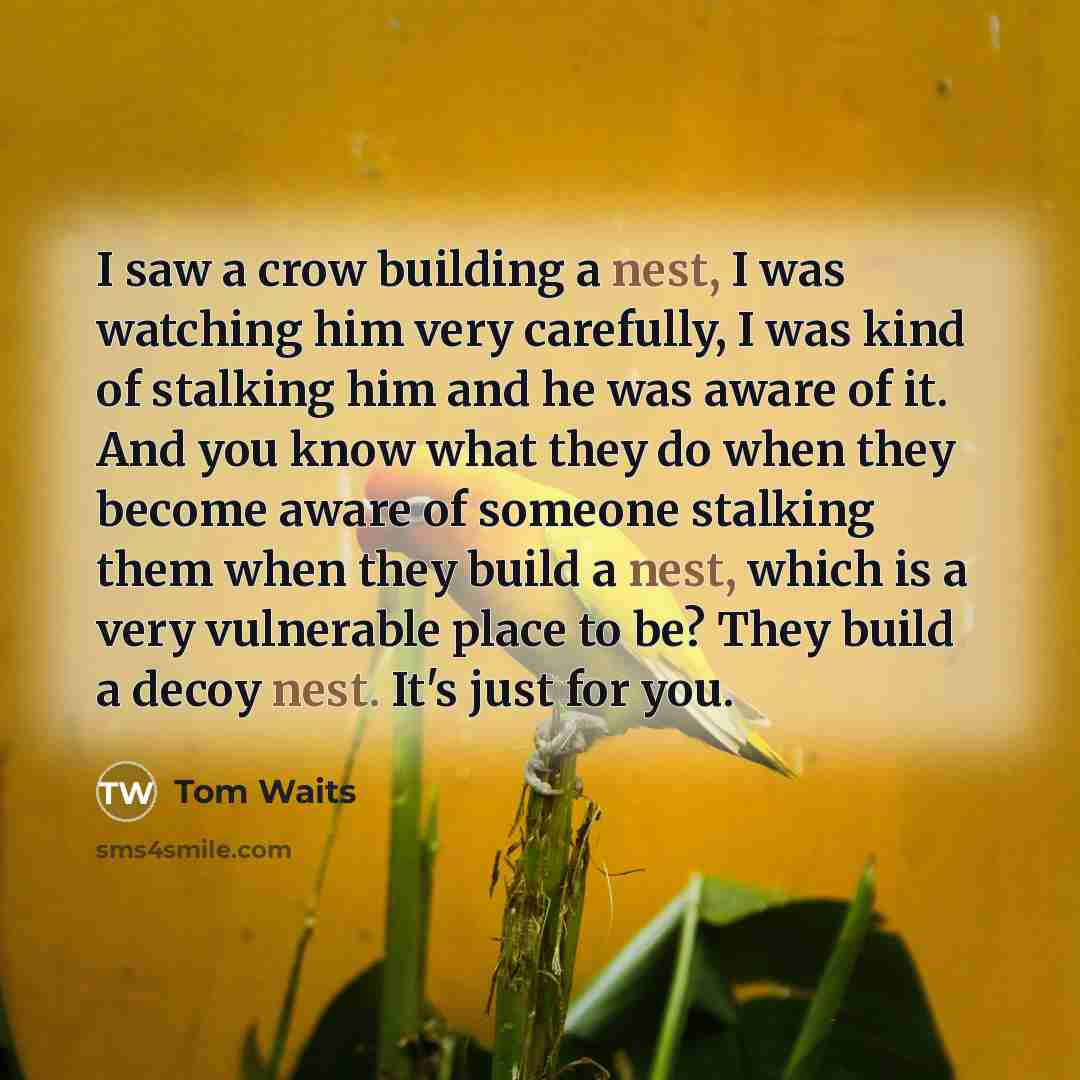 “I saw a crow building a nest, I was watching him very carefully, I was kind of stalking him and he was aware of it. And you know what they do when they become aware of someone stalking them when they build a nest, which is a very vulnerable place to be? They build a decoy nest. It's just for you.” quote by Tom Waits