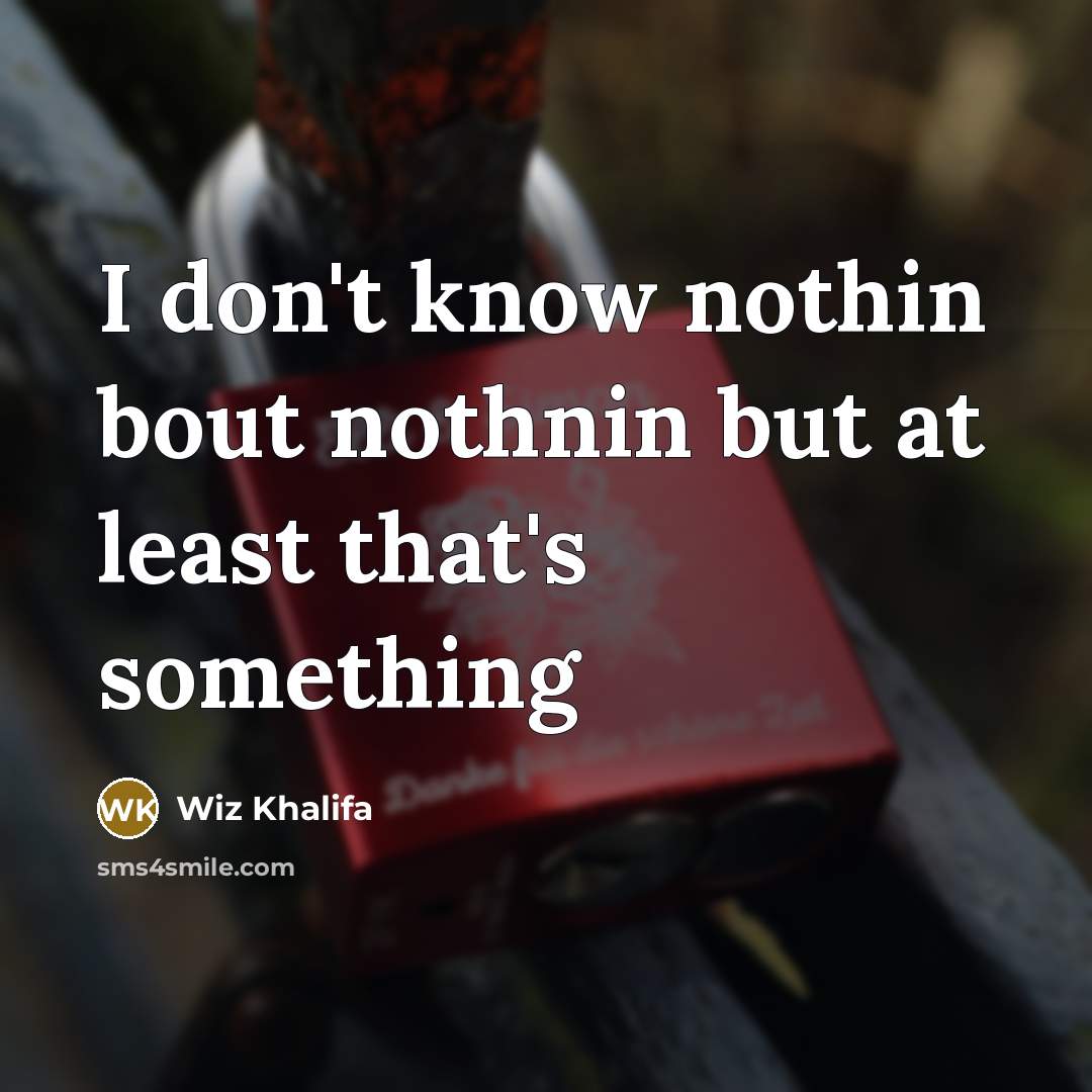 “I don't know nothin bout nothnin but at least that's…” quote by Wiz Khalifa
