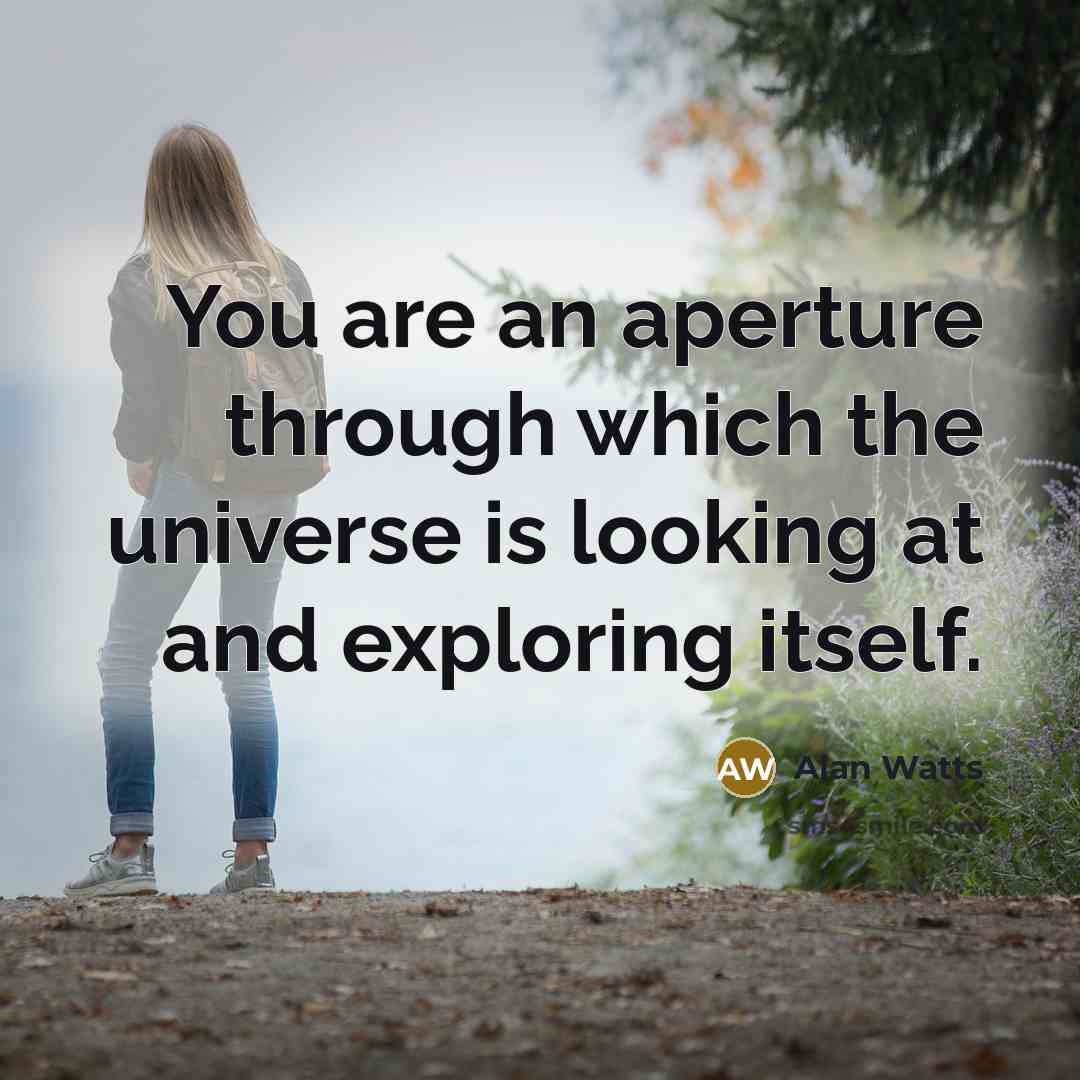 “You are an aperture through which the universe is looking…” quote by Alan Watts