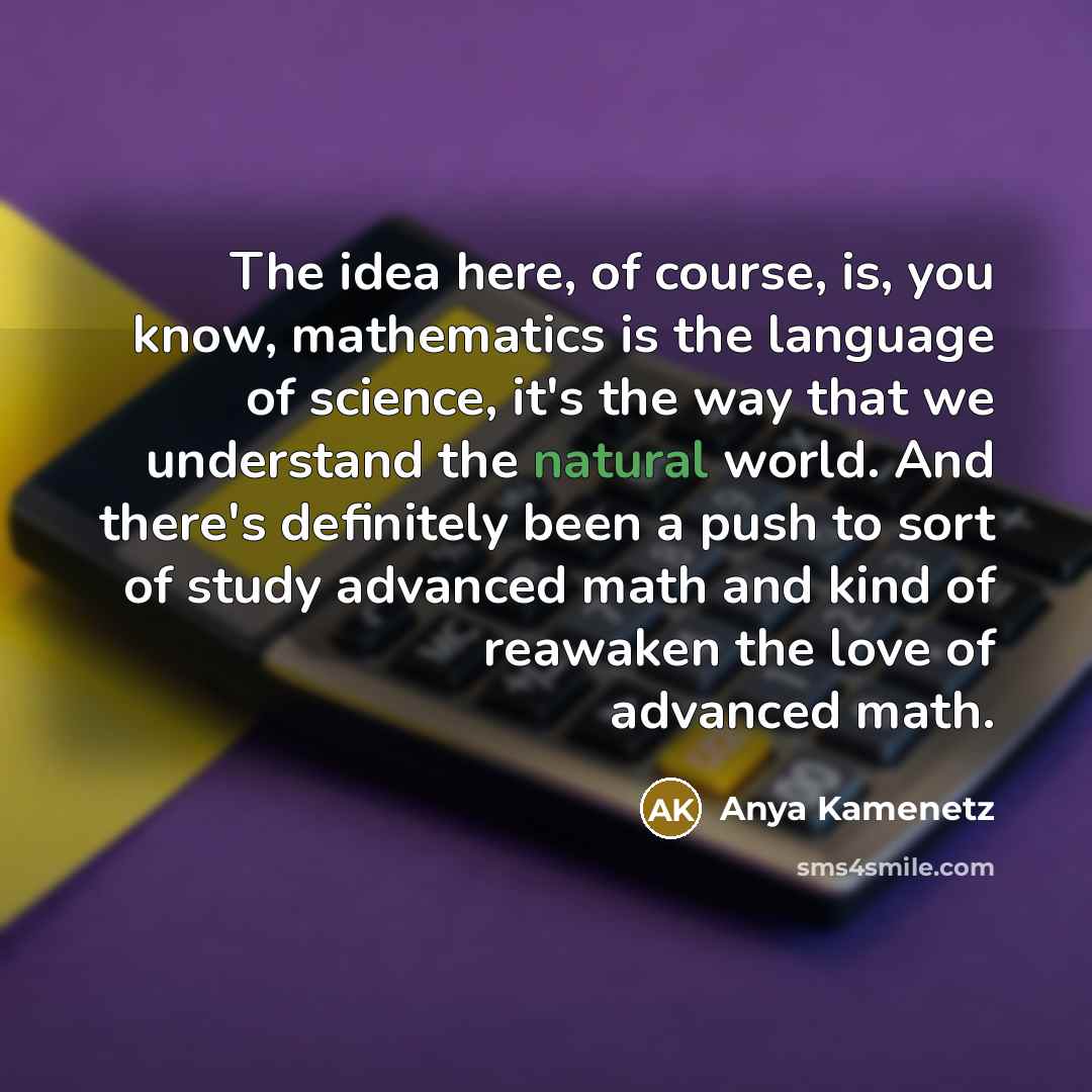 “The idea here, of course, is, you know, mathematics is…” quote by Anya Kamenetz