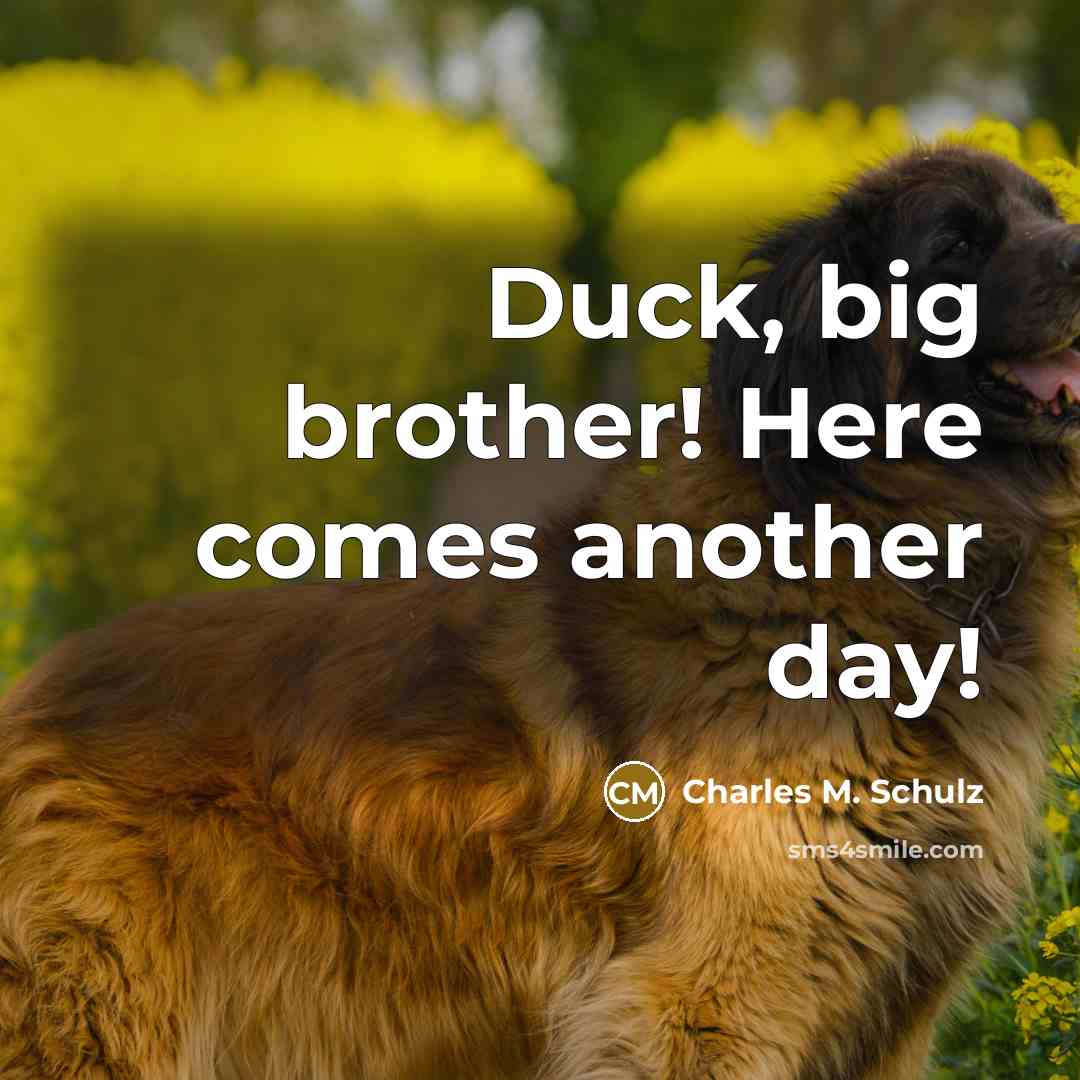 “Duck, big brother! Here comes another day!…” quote by Charles M. Schulz