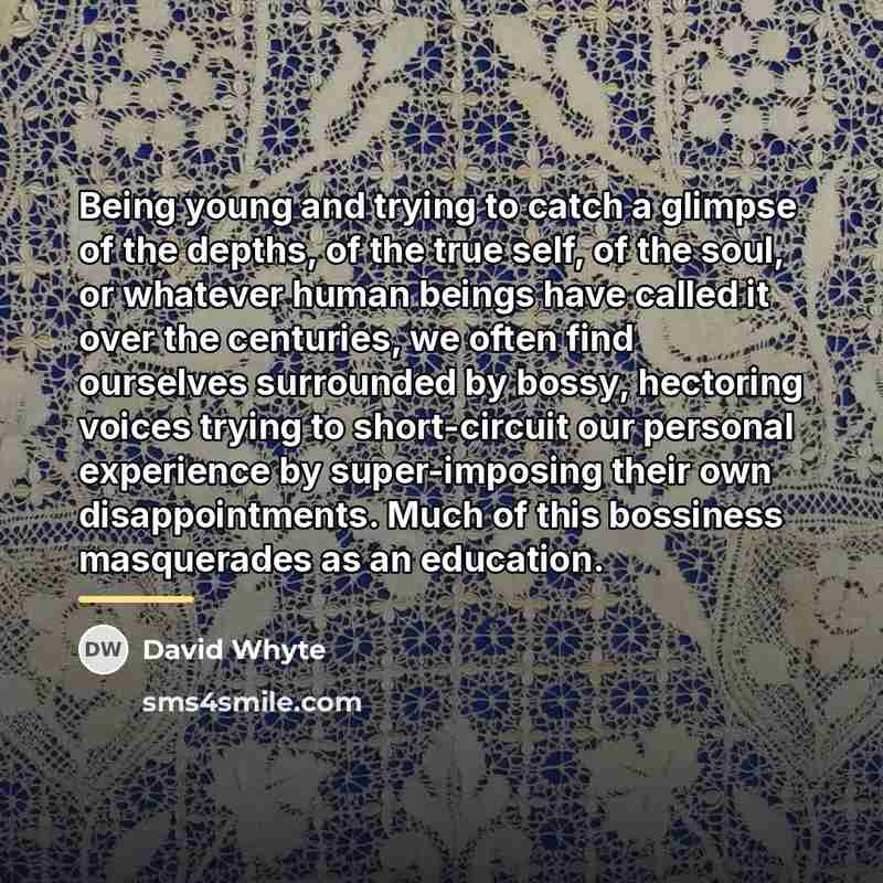 “Being young and trying to catch a glimpse of the…” quote by David Whyte