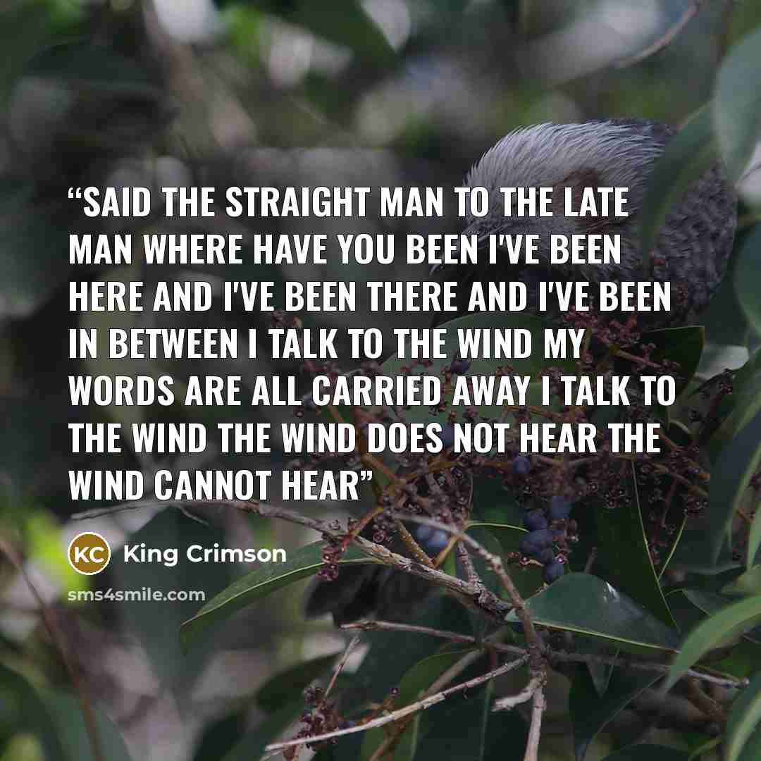 “Said the straight man to the late man Where have you been I've been here and I've been there And I've been in between I talk to the wind My words are all carried away I talk to the wind The wind does not hear The wind cannot hear” quote by King Crimson