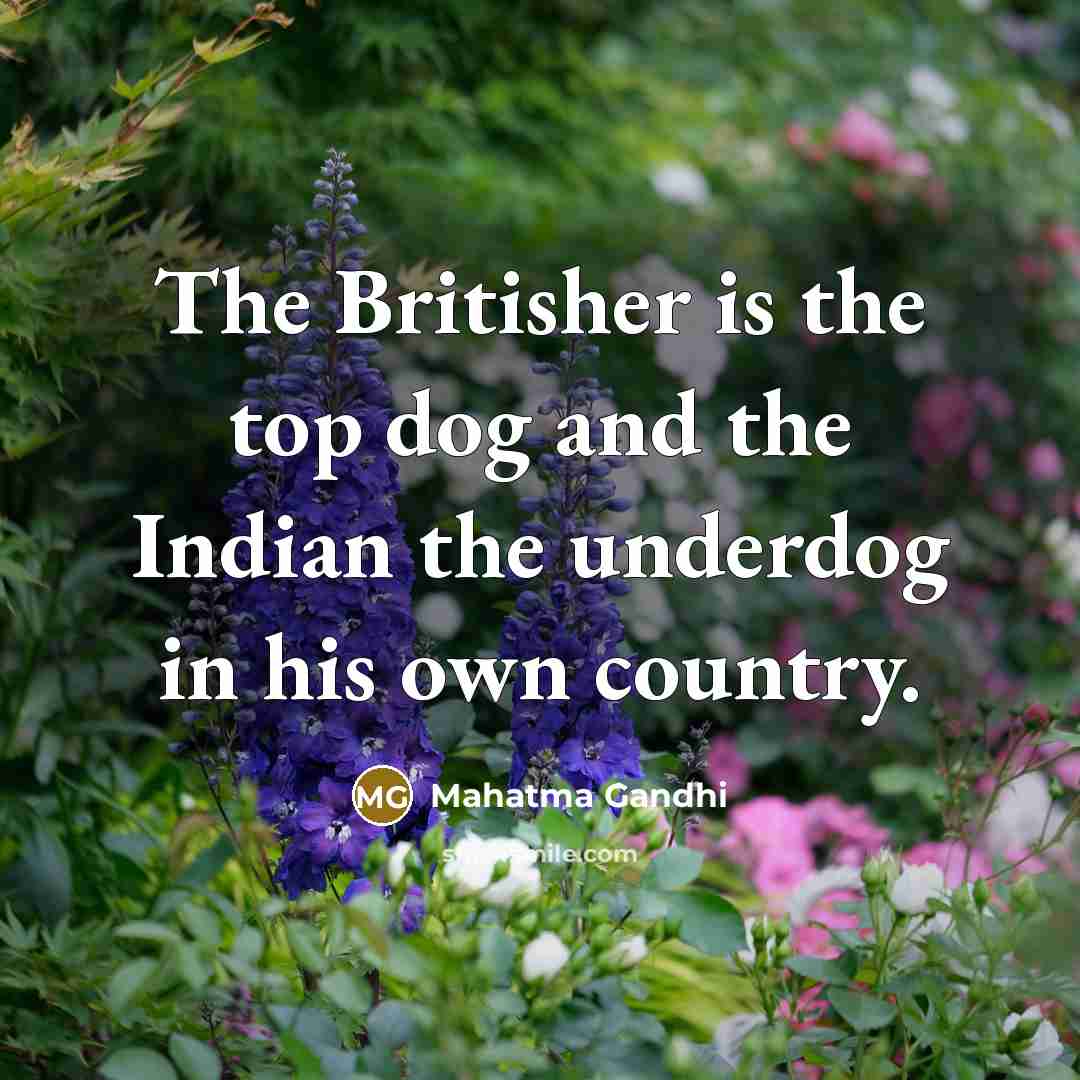 “The Britisher is the top dog and the Indian the…” quote by Mahatma Gandhi