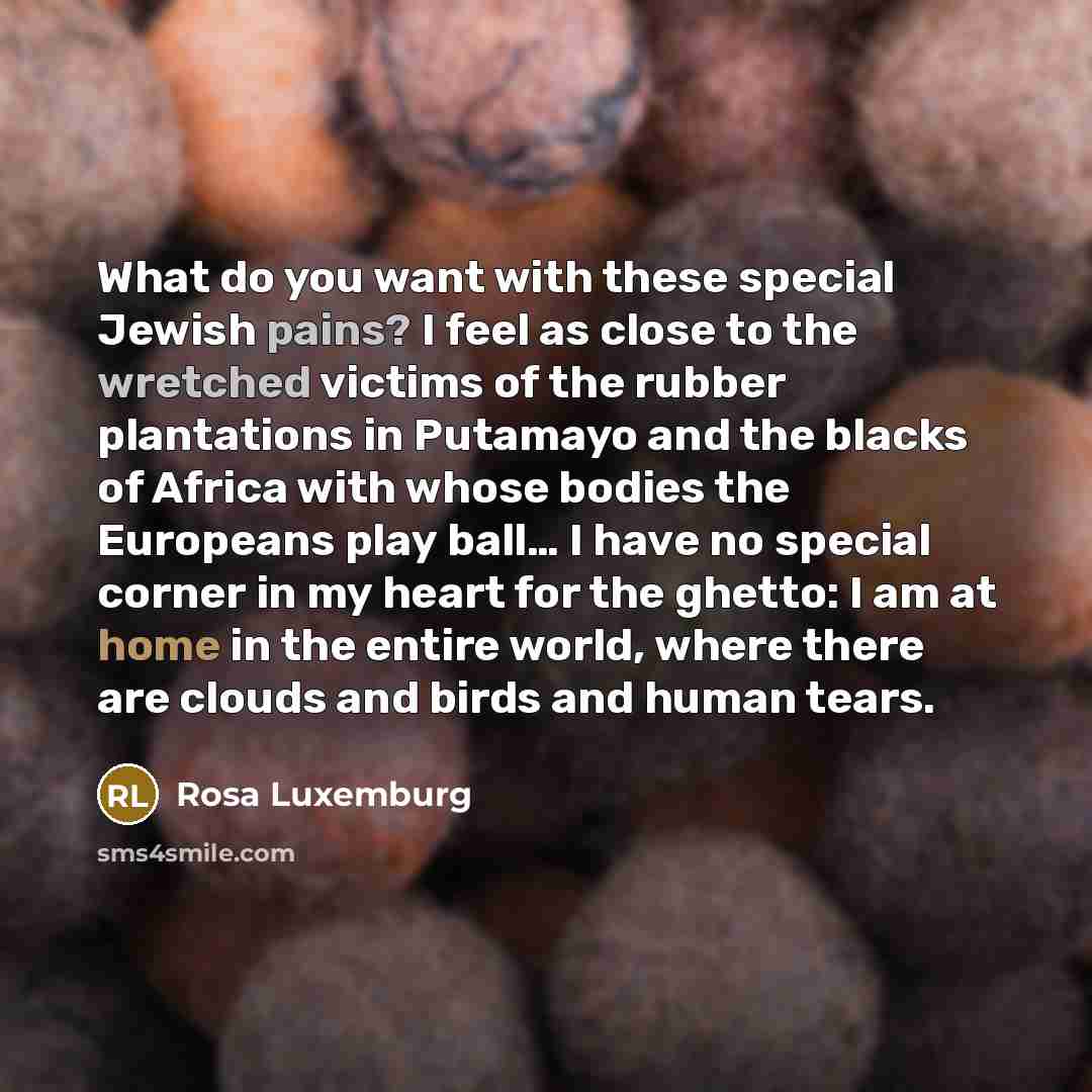 “What do you want with these special Jewish pains? I…” quote by Rosa Luxemburg