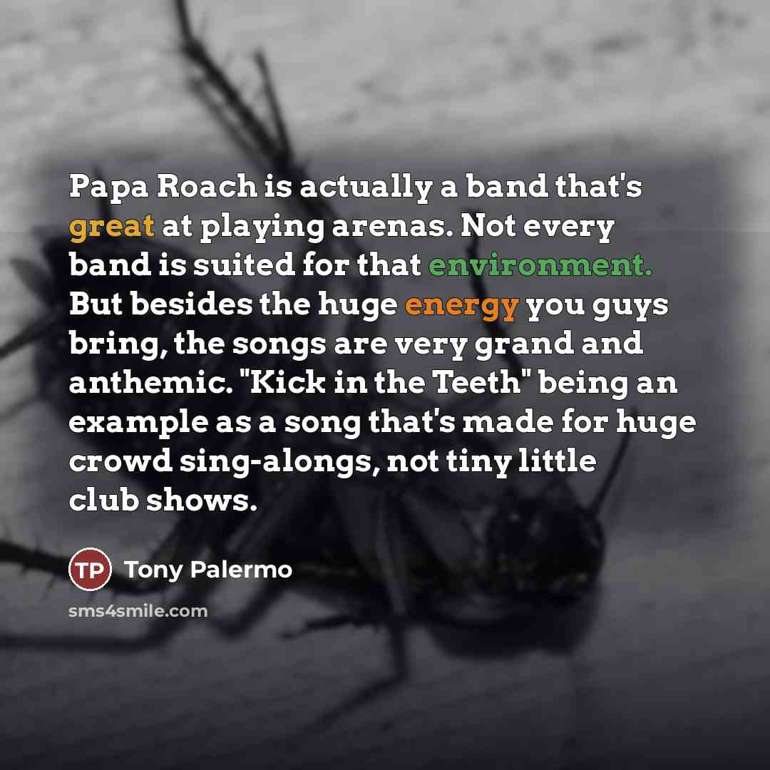 “Papa Roach is actually a band that's great at playing…” quote by Tony Palermo