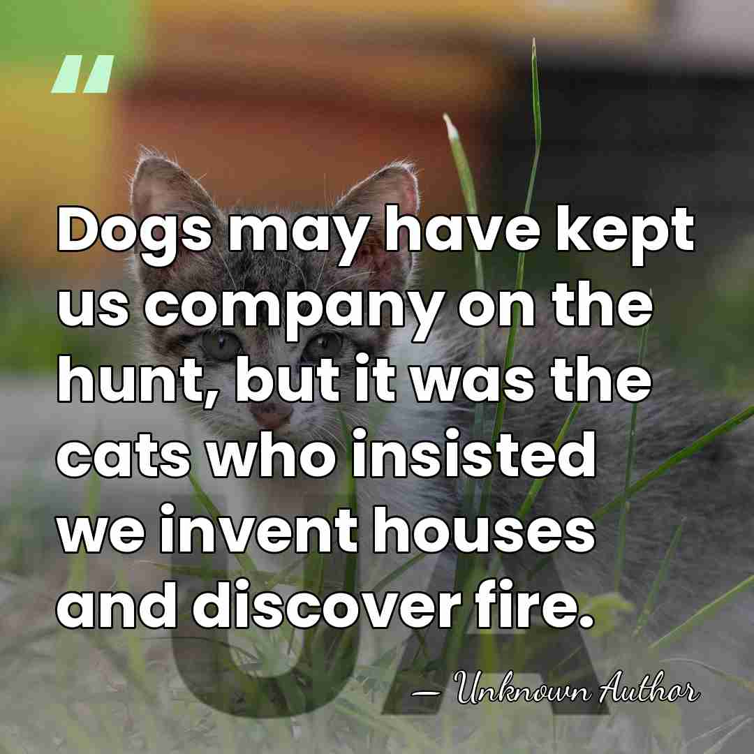 Dogs may have kept us company on the hunt, but it was&hellip; - Tran Thien Khiem