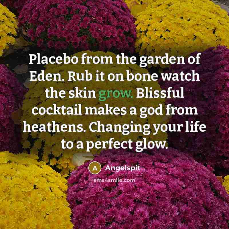 “Placebo from the garden of Eden. Rub it on bone…” quote by Angelspit