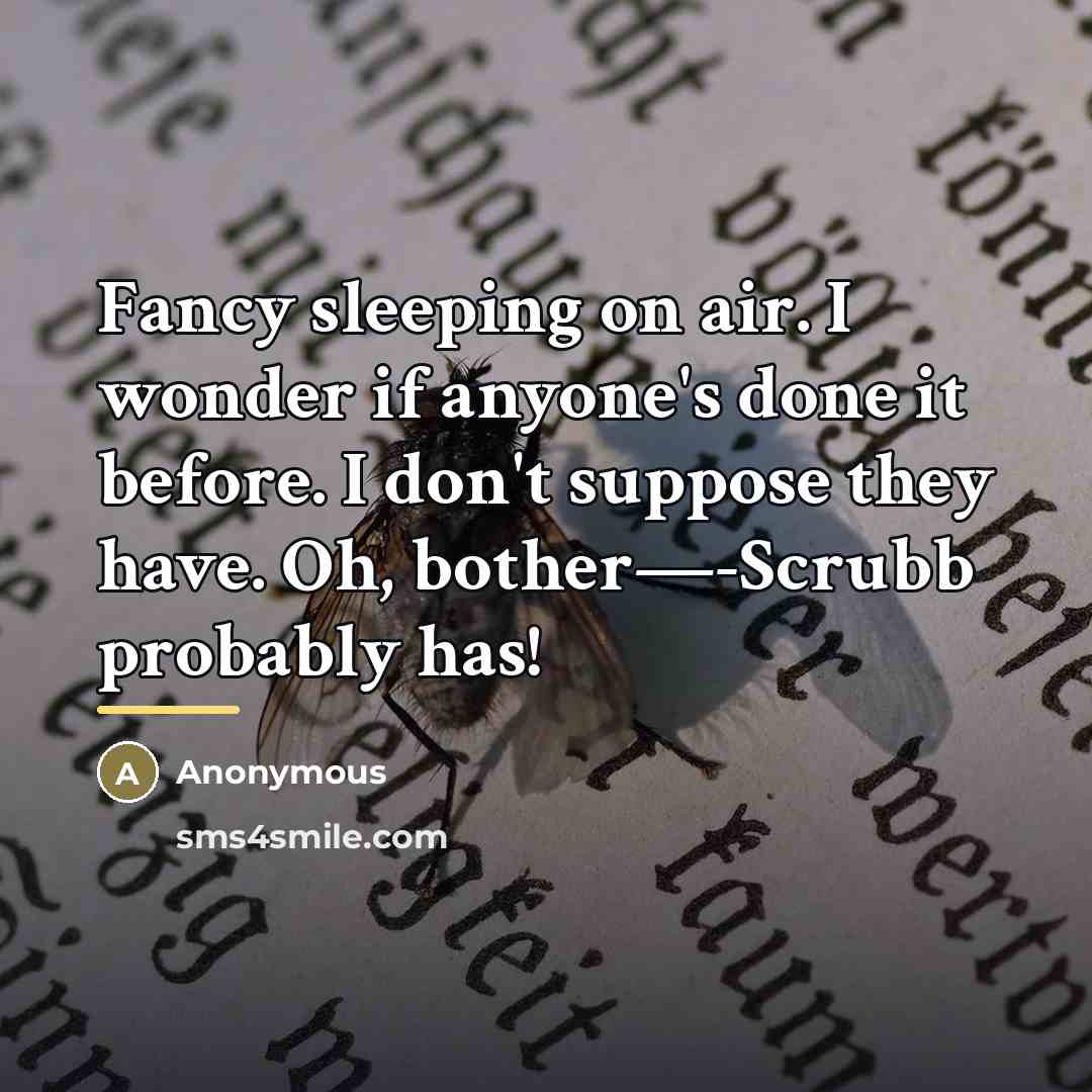 “Fancy sleeping on air. I wonder if anyone's done it…” quote by Anonymous
